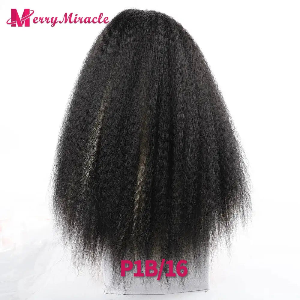 Afro Kinky Curly Hair Wigs